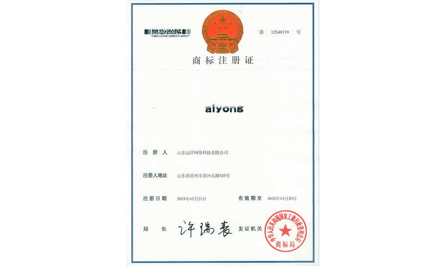 aiyong商標(biāo)注冊(cè)證